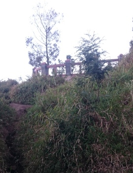 Kingkong hill/Bukit Kedaluh for Bromo Sunrise tour