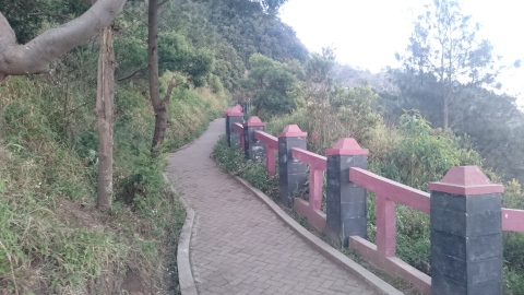 Kingkong hill/Bukit Kedaluh for Bromo Sunrise tour